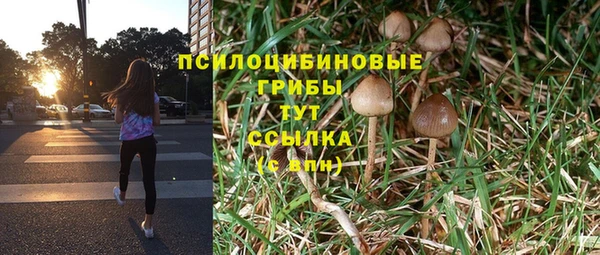 первитин Арсеньев